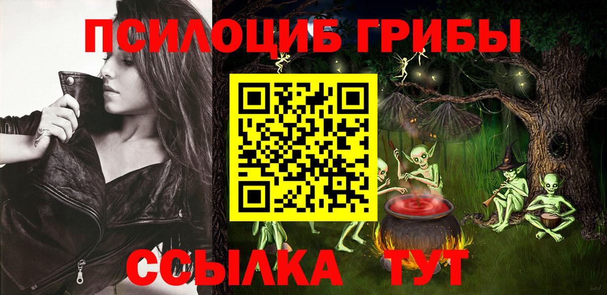 Троицк  Псилоцибиновые грибы Psilocybine cubensis  Вход с VPN 