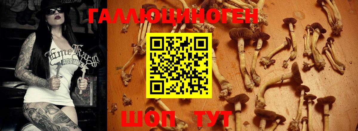 Галлюциногенные грибы мухоморы Троицк
